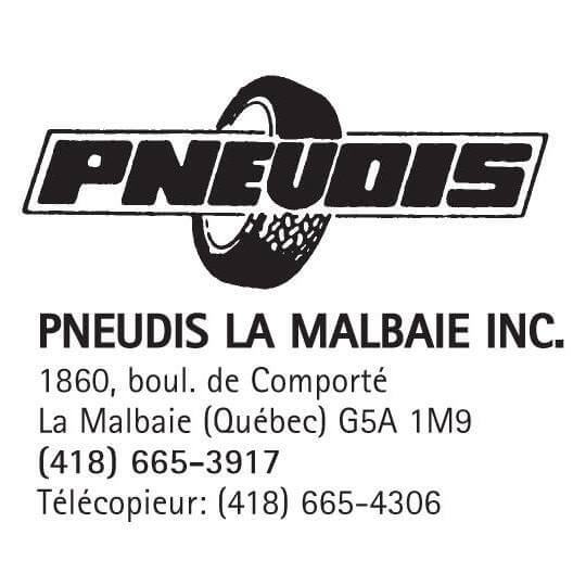 logo-pneudis-icon